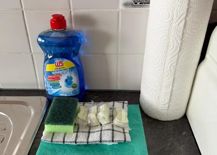 Berger Apartment Zell am See